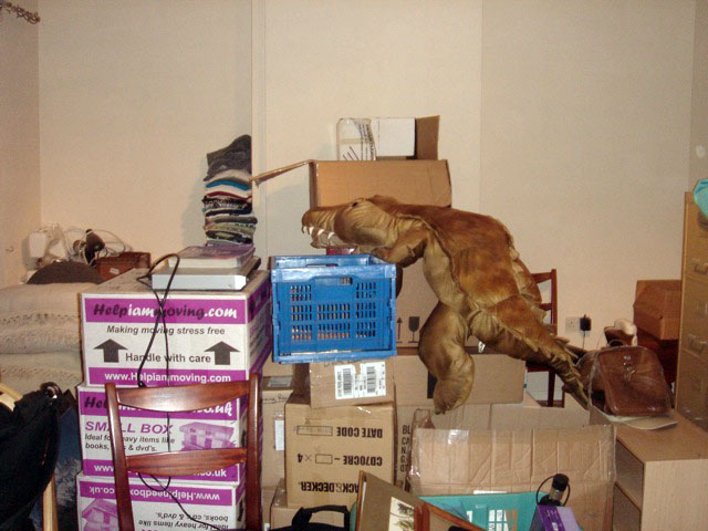09stillboxes