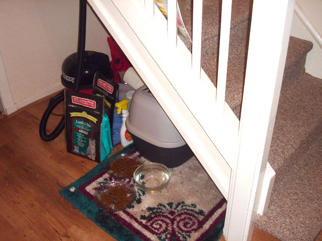 16catthings