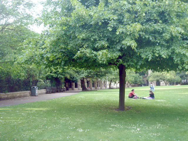 08park