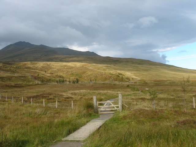 02benlawers