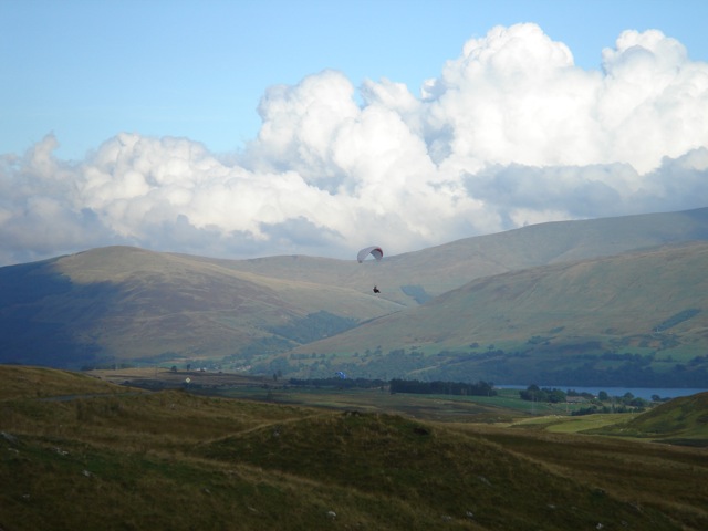 14paraglider