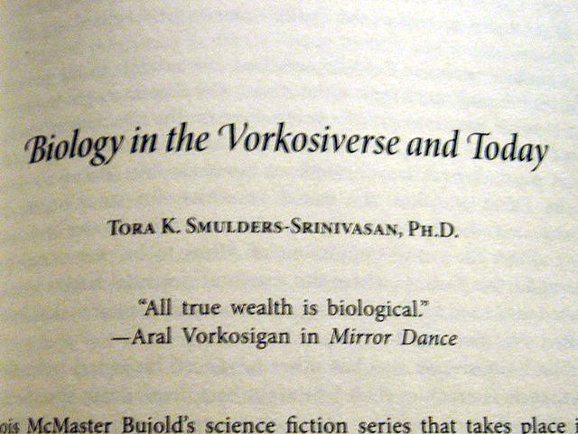 14toraessay