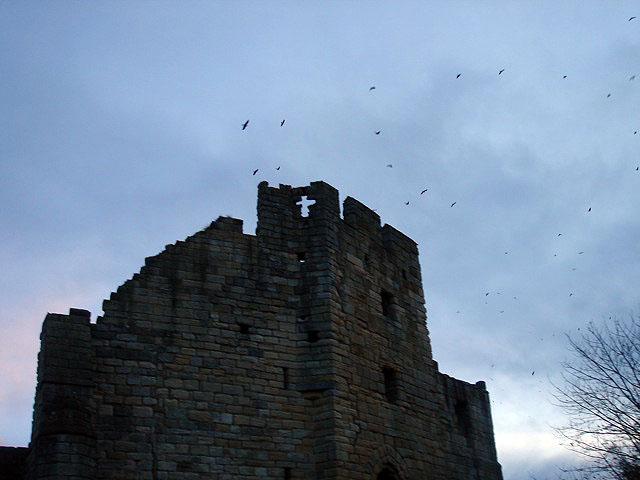 26birdscastle