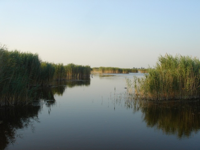 13reedbeds