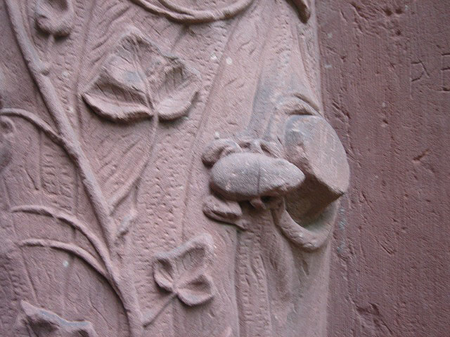 21frog
