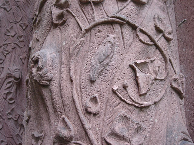 23cicada