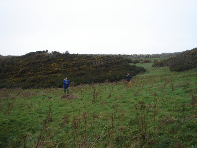03davidwalk