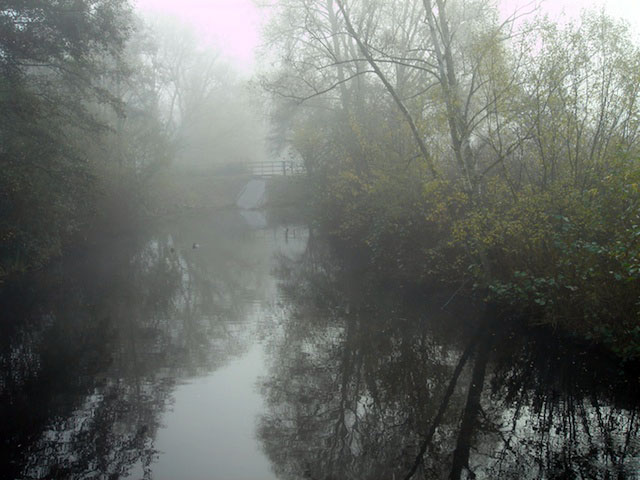 07morningfog