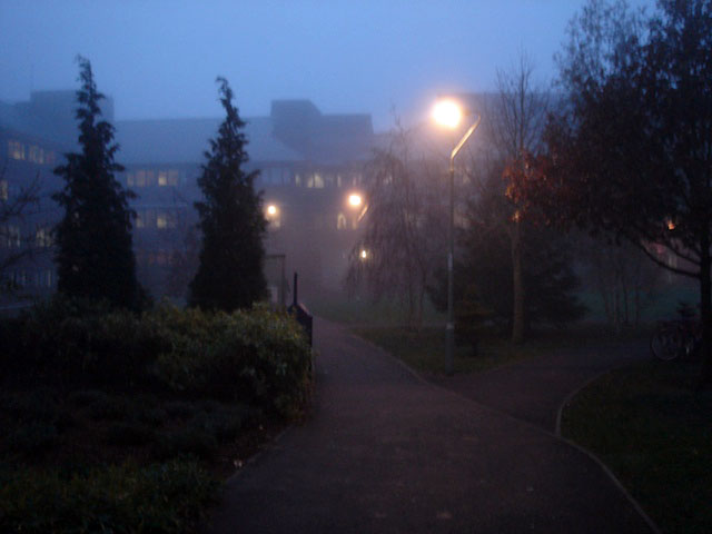 11stillfoggy