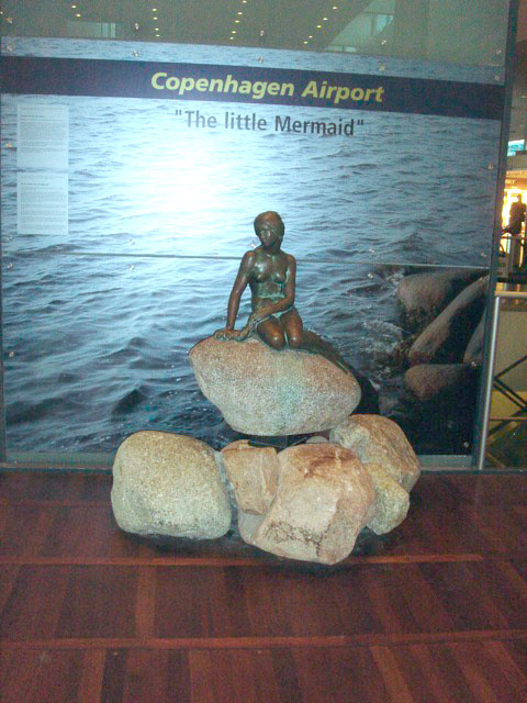 71littlemermaid