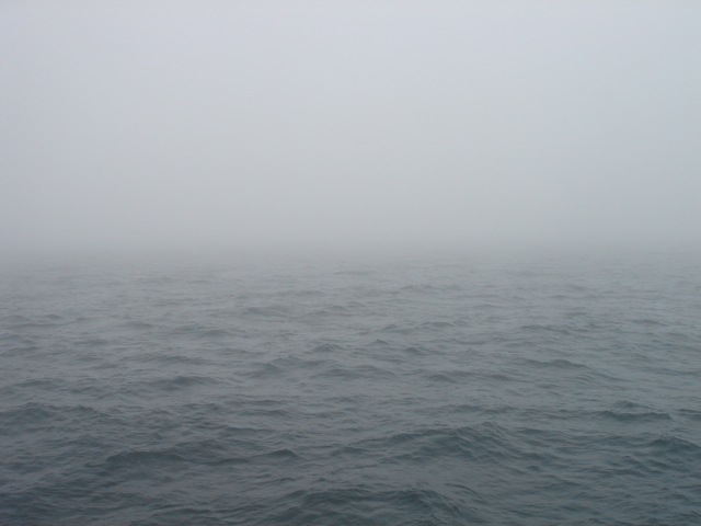 54fog