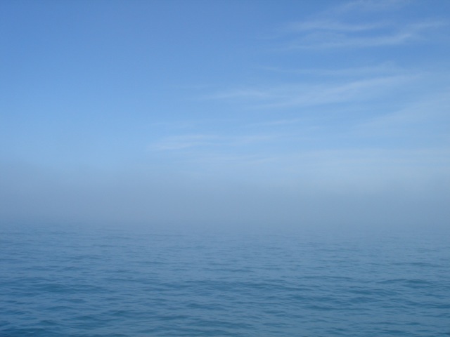 56waterfogsky