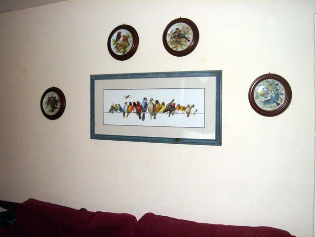 08birdpictures