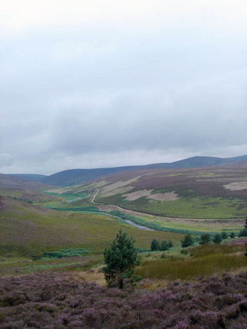 17view