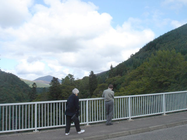 41bridge