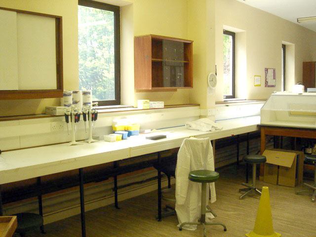 labbefore