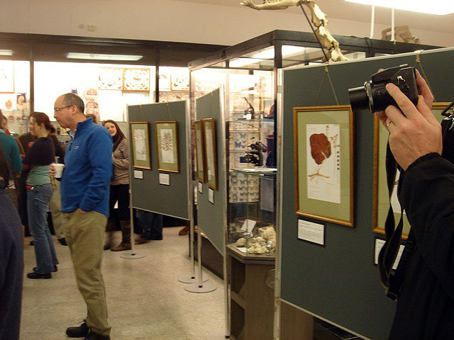 13herbspecimens