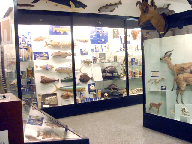 pettigrew_exhibits