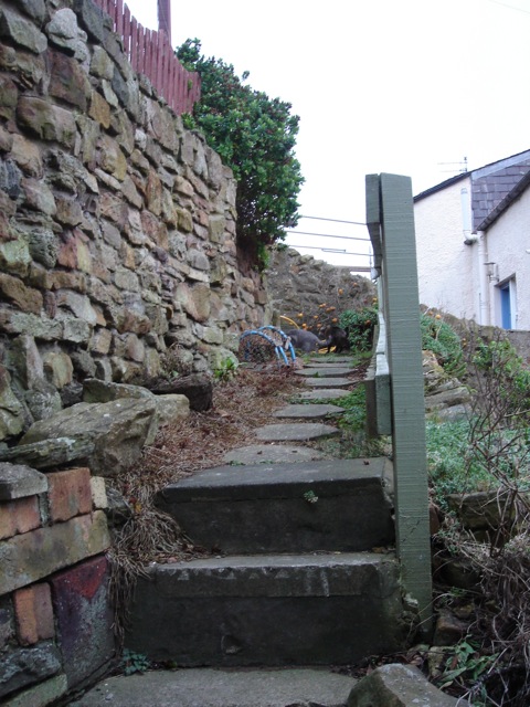 03backpath