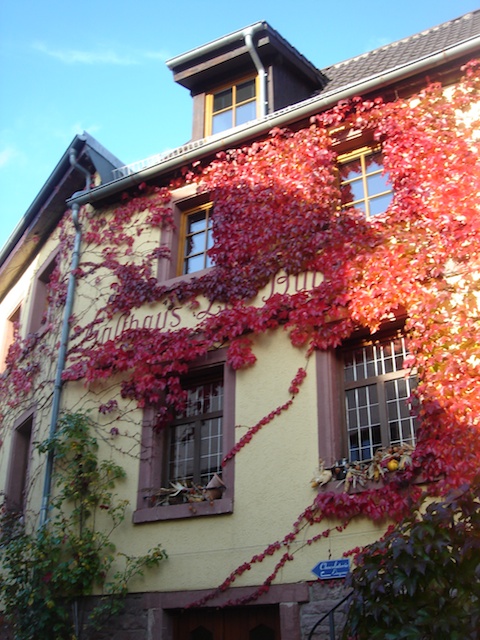 18autumnal