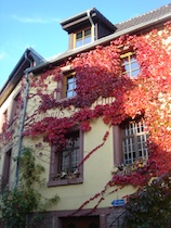 18autumnal