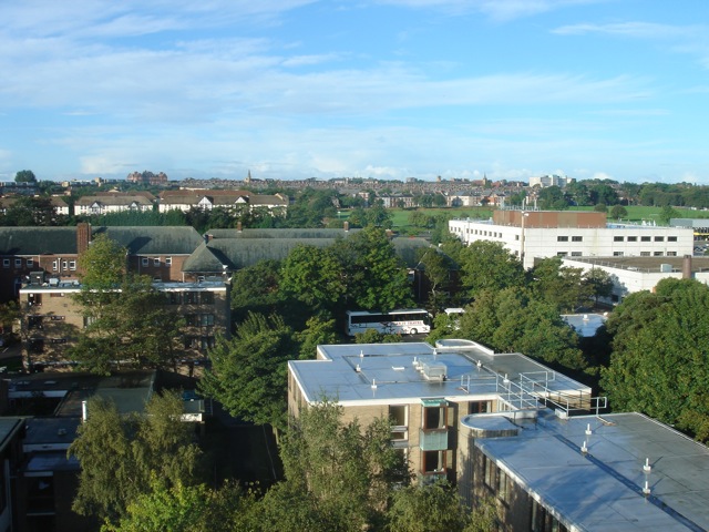 09view