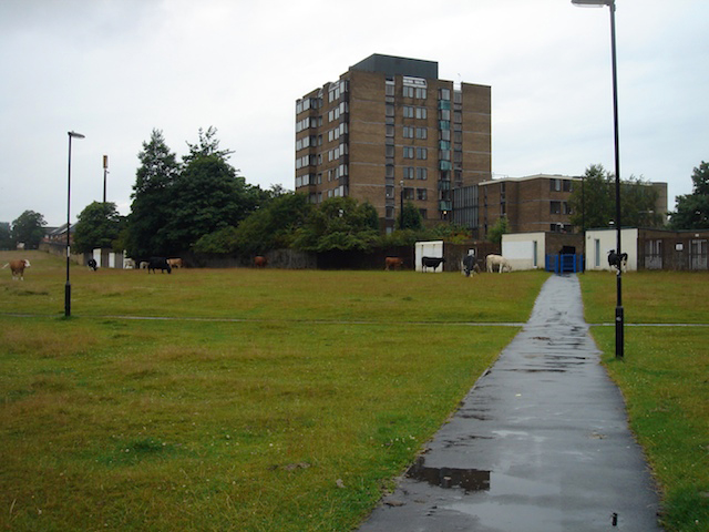 09leazesfield