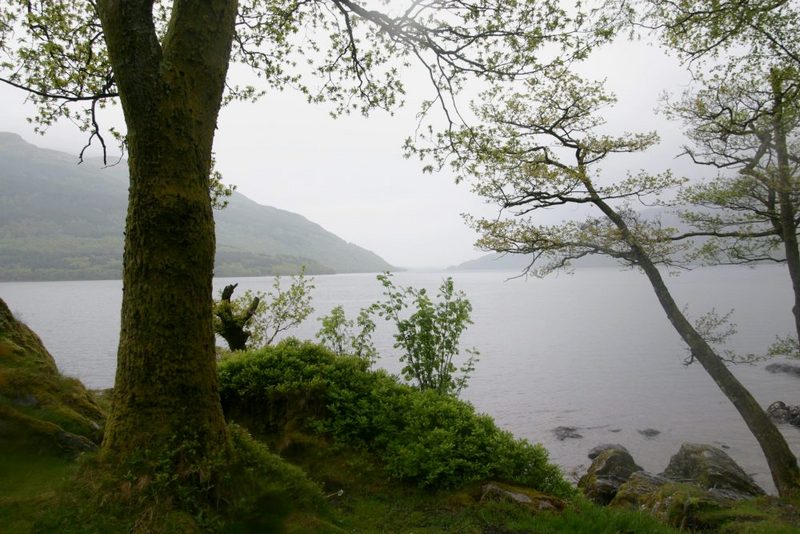 loch_lomand_trees